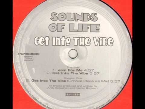 Sounds Of Life  -  Get Into The Vibe