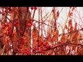 «Болдинская осень» - программа «Волшебный микрофон» 