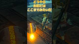 【初見】全力で運んだボール、まさかの飾りwww【ブレワイ】#ゼルダ実況 #Vtuber #初見リアクション