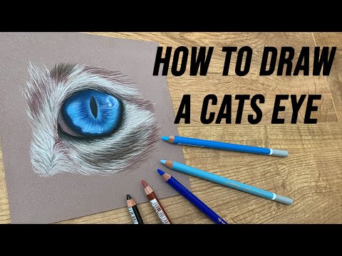 How to draw a cats eye using pastel pencils - on pastelmat paper