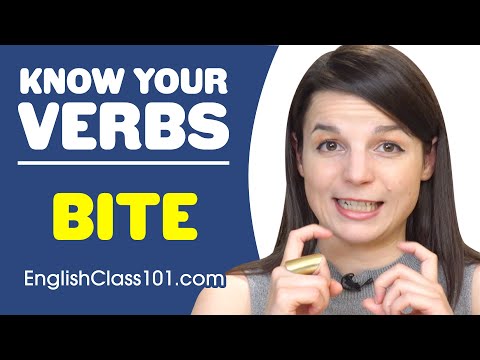 LOSE Basic Verbs Learn English Grammar