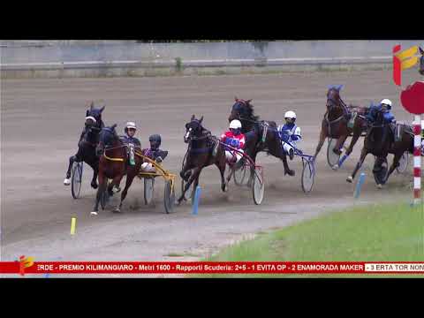 I Corsa del 14 Giugno 2023 - 3 Anni - Metri 1600