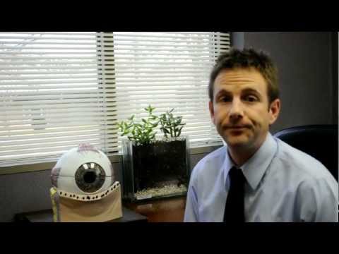 Dry eye syndrome, dry eyes, tear film, artificial tears - A State of Sight #14