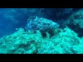 Abenteuer Tauchen Lanzarote in HD