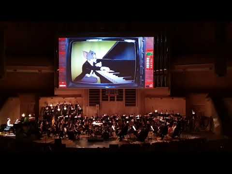 Sergeta Dariya plays the Cat Concerto - Tom and Jerry - Hungarian Rhapsody No.2 by Franz Liszt