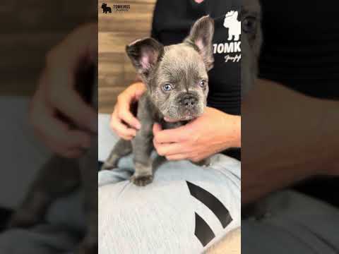 Video 2