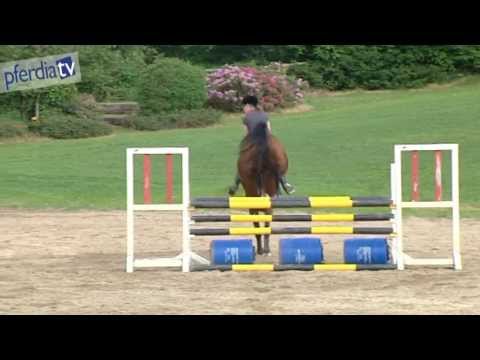 Warum auch für Springreiter die dressurmäßige Grundausbildung nicht zu verachten ist | Karsten Huck