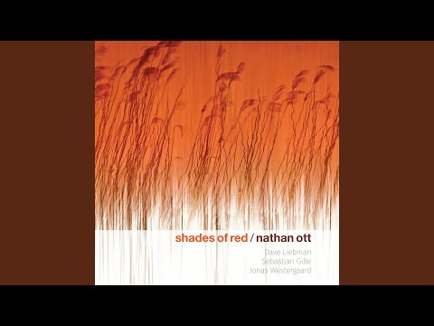 Shades of Red online metal music video by NATHAN OTT