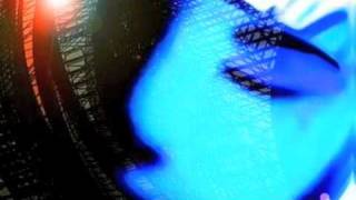 Melodies and Memory - Vector Lovers