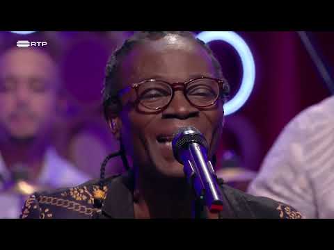 Rosa Baila - Eduardo Paim | Miradouro da Lua - 2025