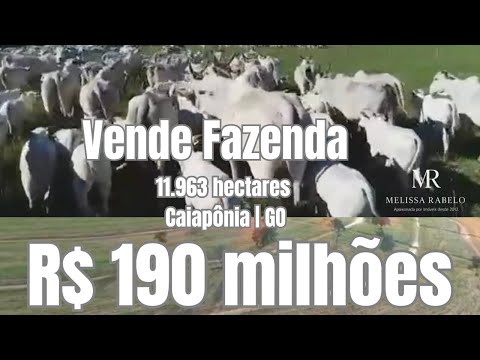  📍 Fazenda à Venda – Caiapônia (GO) | 11.963 Hectares