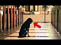 Dog Refuses To Leave The Church, Then The Priest Checks The Camera And Sees Something Crazy!