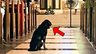 Dog Refuses To Leave The Church Video