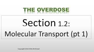 Molecular Transport: Physiology 1.2