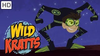 Wild Kratts - Creatures in the Dark 🌙 | Kids Videos