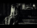 Harry Potter and the Half-Blood Prince - Dumbledore's Farewell | slow relaxing ambient