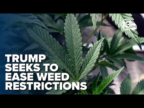 Trump may reclassify marijuana to less restricted status, report says