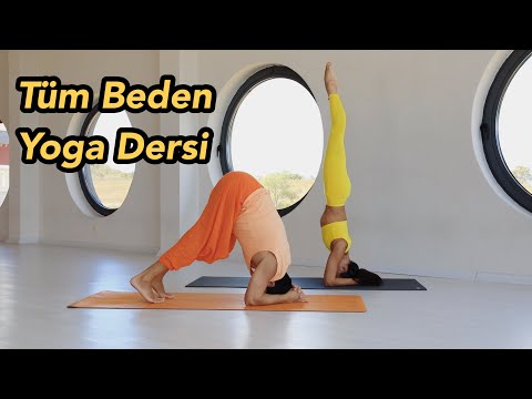 Full Body Yoga Class (All Levels)