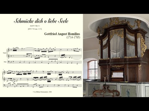 Gottfried August Homilius (1714–1785) Schmücke dich, o liebe Seele | Bürgy-Orgel (1769) Diedenbergen