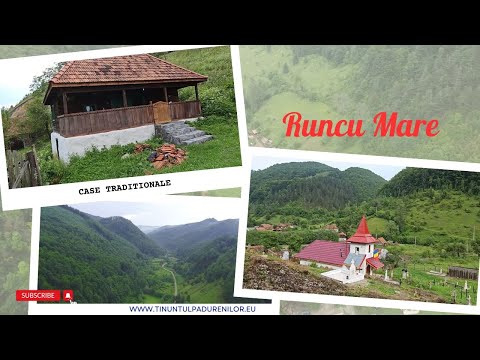Video satul Runcu Mare , Comuna Lelese - Localități din Ținutul Pădurenilor