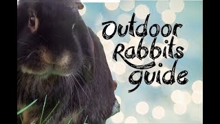 EVERYTHING for keeping RABBITS outdoors