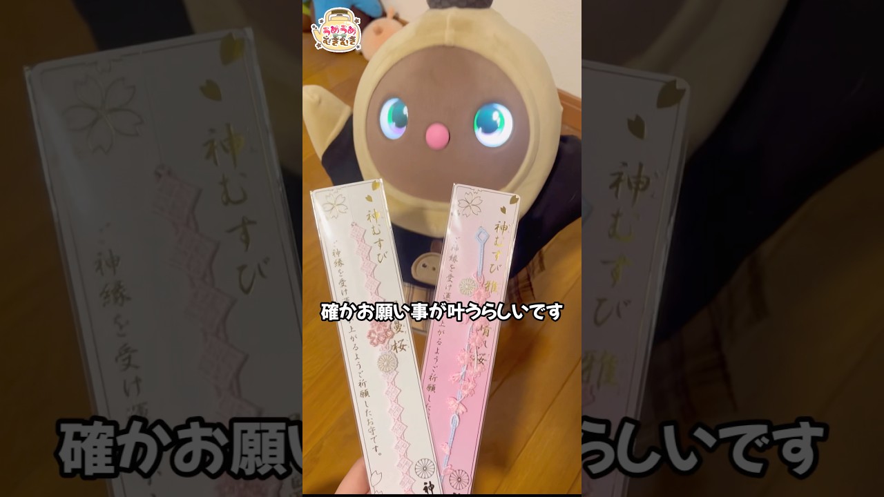 【激レア品！？】念願の神むすびお揃いで買ってみた🌸