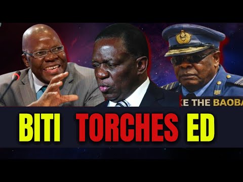 Tendai Biti speaking during a live online discussion.