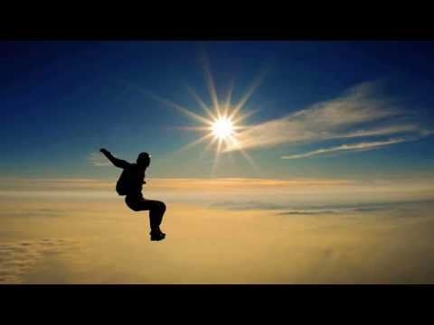 Stepsine Project  - Fly