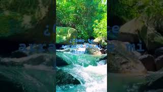 A Quién Quiero Mentirle &quot;Marc Anthony&quot; 🌹