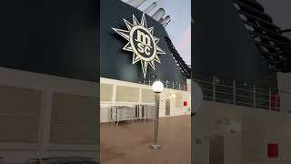 MSC Magnifica Miami Skyline View! #cruise #msc #carnivaljubilee #carnival #carnivalcruise