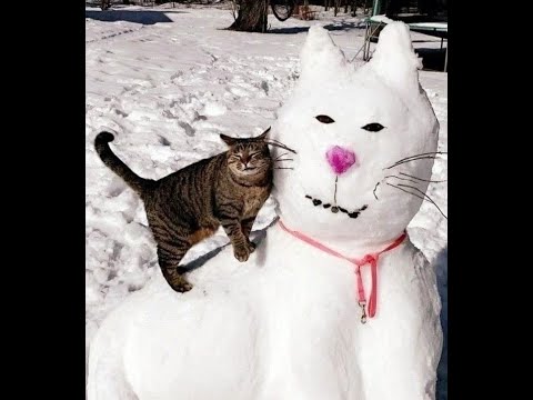 😺 Кошки против снега! 🐈 Видео смешных кошек и котят для поднятия настроения! 😻