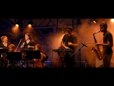 Zerolex Ensemble  -  Family Tree (Live)
