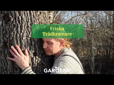 Friska trädkramare - Trädgårdshacks med GardenR