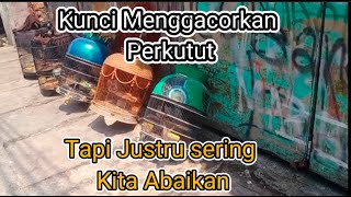 Download lagu Daily treatment for percutut to make it sound like Pakde Bagyo mp3 Download lagu Daily treatment for percutut to make it sound like Pakde Bagyo mp3