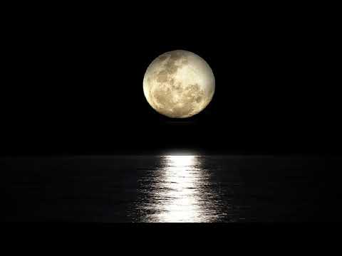 Luna video
