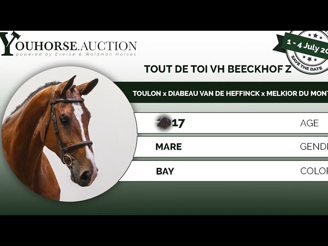 Tout de Toi