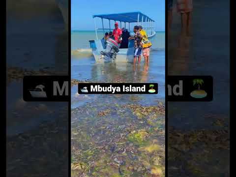 Mbudya Island 🏝 #shorts #zanzibar #tanzania