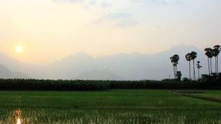 Evening Shots of Thirukkurungudi 