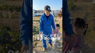 【ひいおじいちゃんと畑仕事🌱】　初めて畑体験をしました✨ #日中夫婦　#海外生活 #日本一時帰国