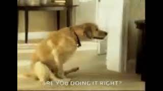 Are You Doing Right Gif