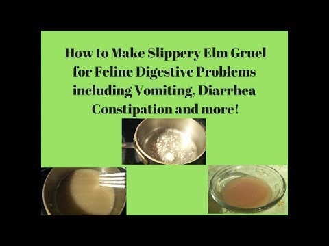 Slippery Elm Gruel for Healing from Digestive disorders for Cats. Dogs and Humans!