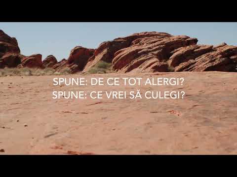 Melinda Salca - Amagire | cover| 2022