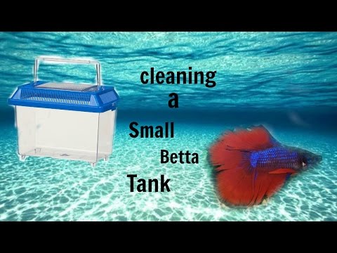 How to clean a small betta tank(READ DESCRIPTION)