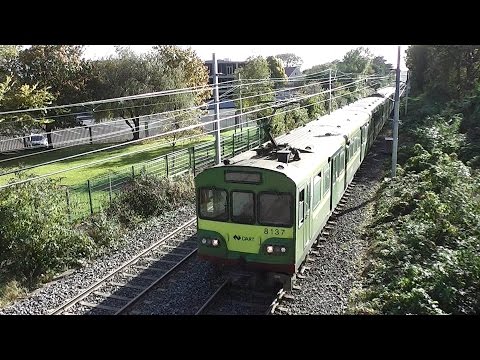 8100 Class Dart Train number 8137 - Sydney Parade, Dublin