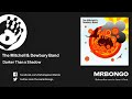 The Mitchell & Dewbury Band - Darker Than a Shadow - feat. Terry Callier
