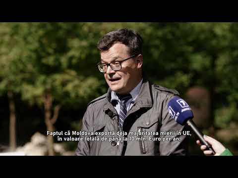 Cum obții un certificat ECO pentru miere. Află istoria celor 6 apicultori din Moldova