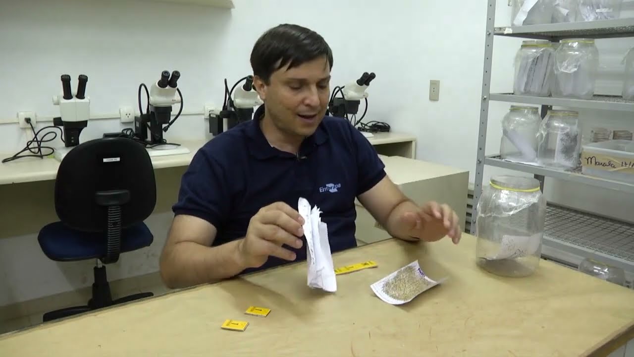 Controle biológico de pragas na cultura da soja