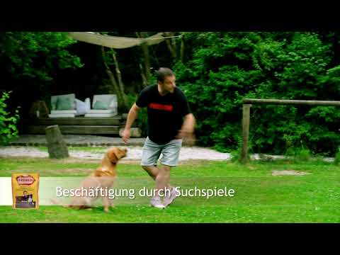 FRESCO Hundetraining mit Martin Rütter -Suchspiele