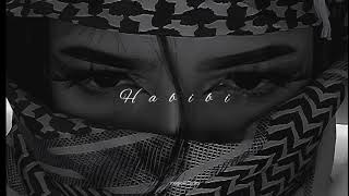 Download lagu Habibi [ slowed   reverb ] - Rickey Rich , Dardan & DJ gimi-o #attractive playlist 🥀 mp3