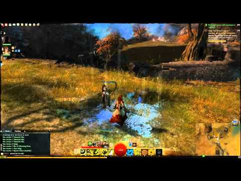 Guild Wars 2 - Ghostly reminder that red circles are BAD (and dont irritate the chef)